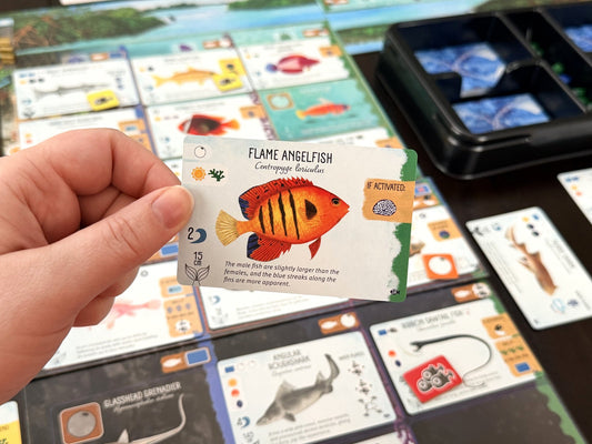FINSPAN: SHARKS AND REEFS Expansion