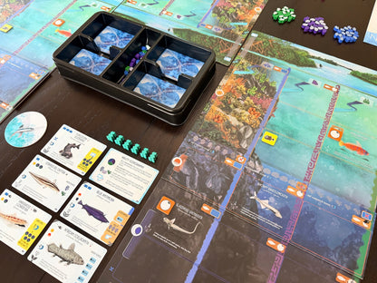 FINSPAN:  SHARKS AND REEFS Expansion