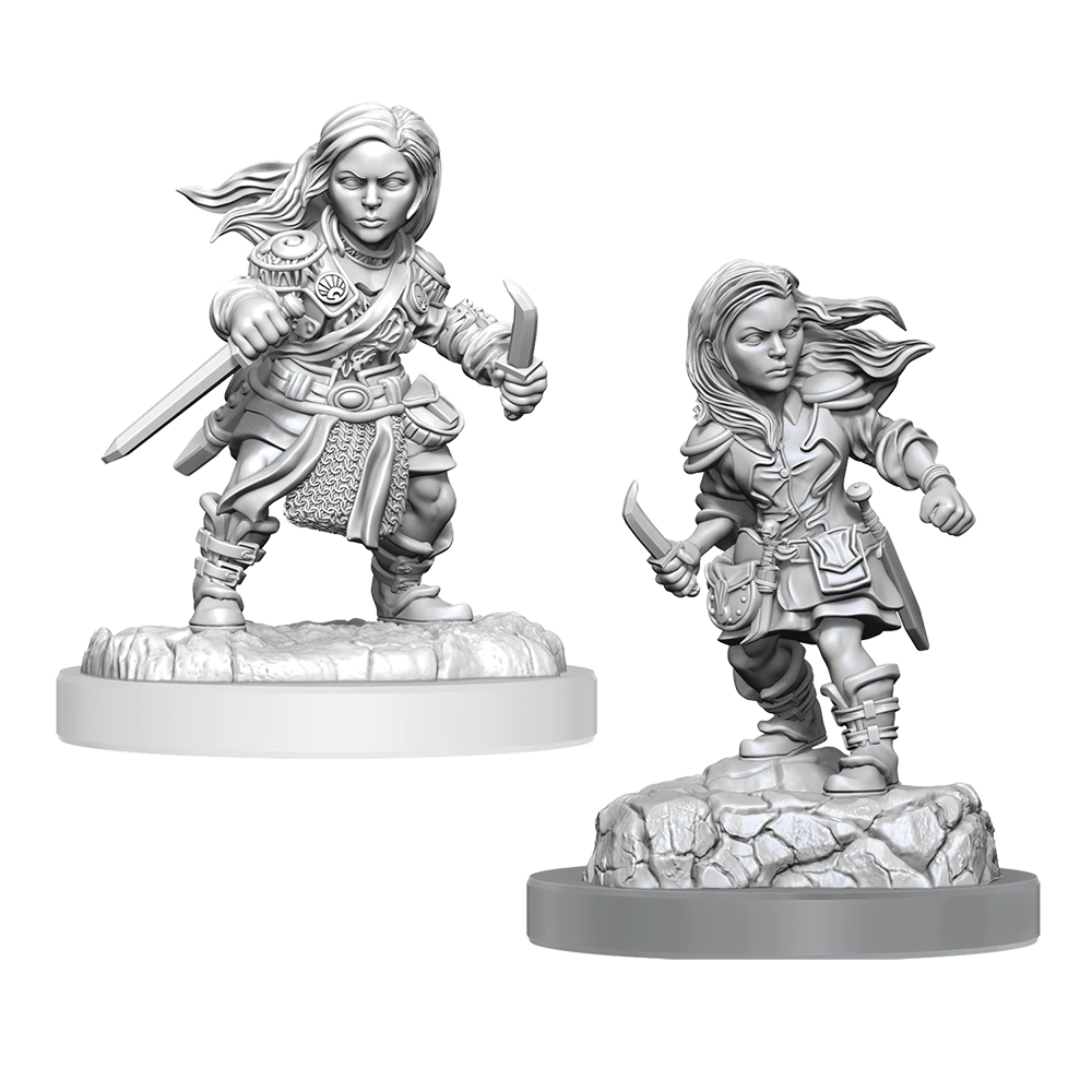 D&D NOLZUR'S MARVELOUS UNPAINTED MINIATURES - PLAYERS SET 2