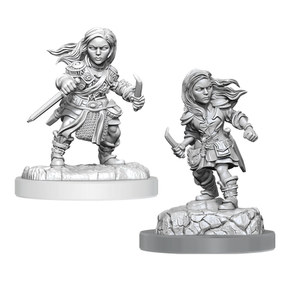 D&D NOLZUR'S MARVELOUS UNPAINTED MINIATURES - PLAYERS SET 2