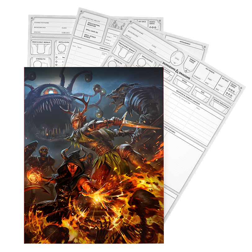 DUNGEONS & DRAGONS: CHARACTER SHEETS (2024)