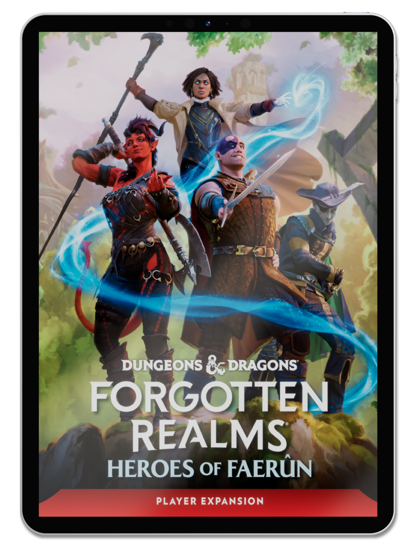 Dungeons & Dragons RPG: FORGOTTEN REALMS: HEROES OF FAERUN