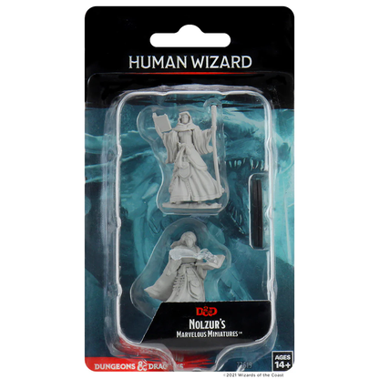 D&D NOLZUR'S MARVELOUS UNPAINTED MINIATURES - PLAYERS SET 1