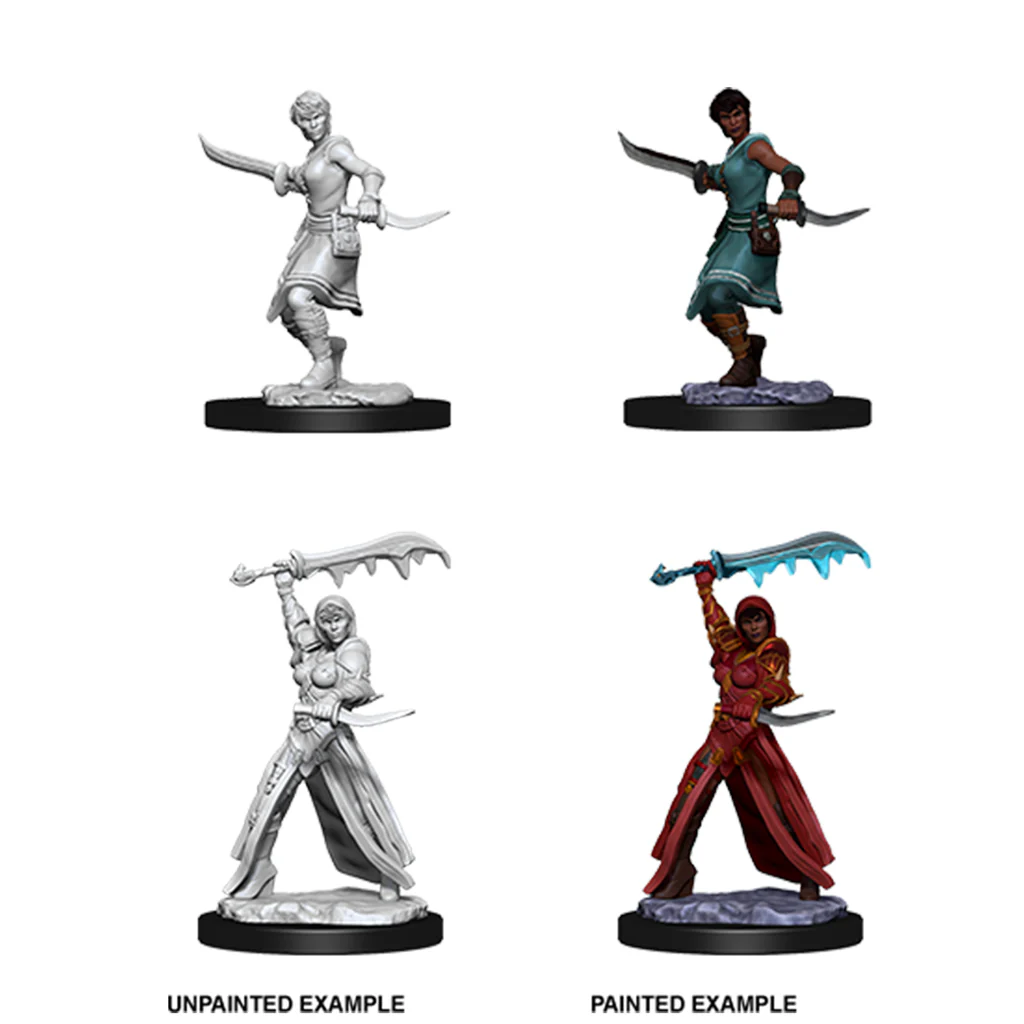 D&D NOLZUR'S MARVELOUS UNPAINTED MINIATURES - PLAYERS SET 1