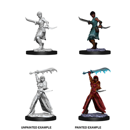 D&D NOLZUR'S MARVELOUS UNPAINTED MINIATURES - PLAYERS SET 1