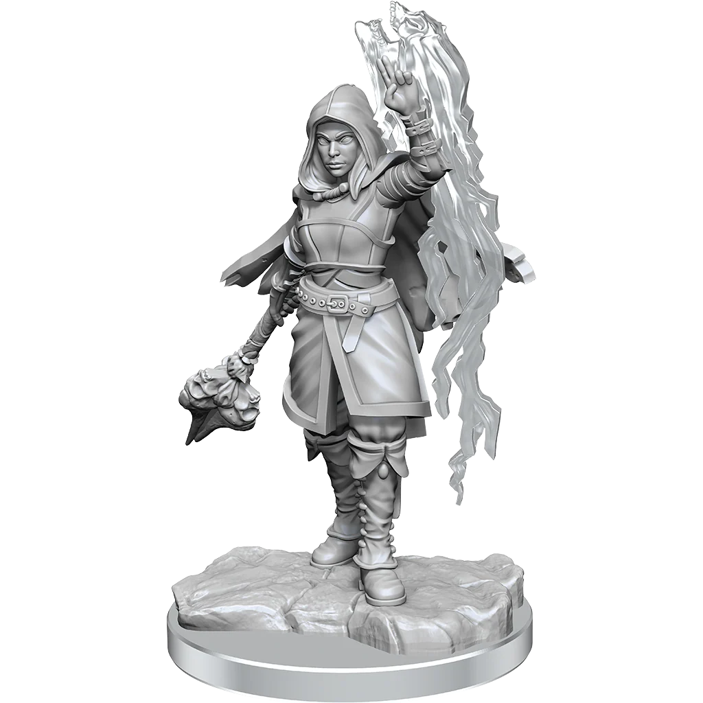 D&D NOLZUR'S MARVELOUS UNPAINTED MINIATURES - PLAYERS SET 1