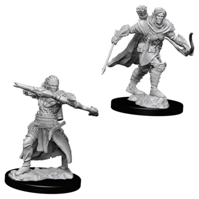 PATHFINDER: DEEP CUTS - PLAYER MINIATURES